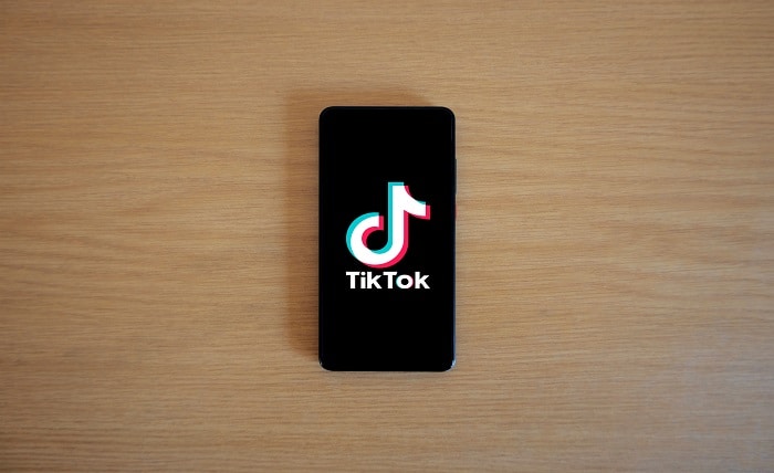 TikTok Downloader