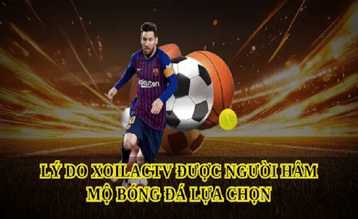 Xoilactv