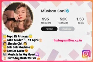 Instagram Bio For Girls Stylish Font
